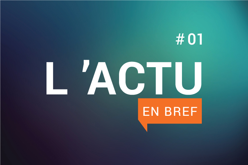 L'actu en bref
