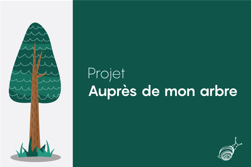 Projet auprès de mon arbre