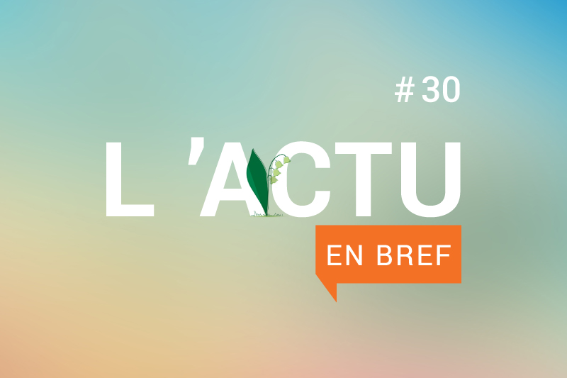 Actu en bref 30