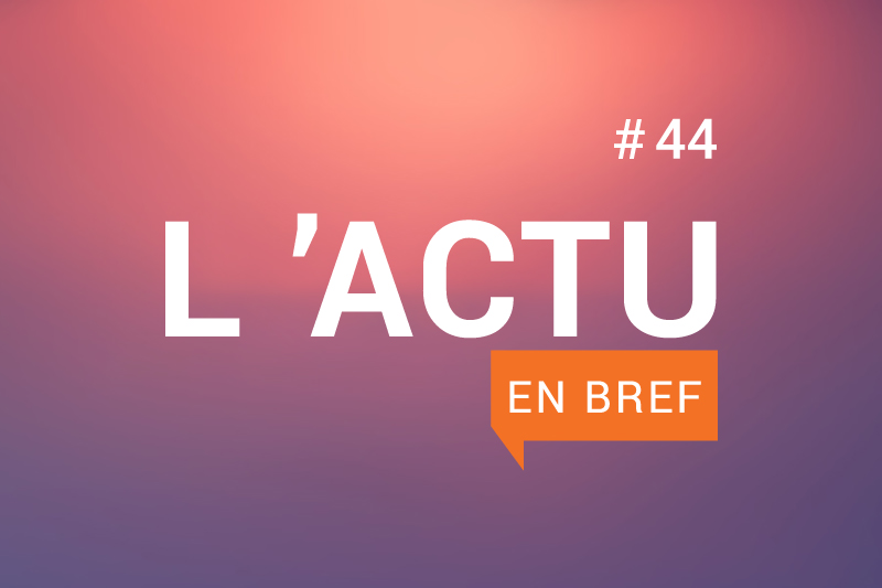 Actu en bref 44