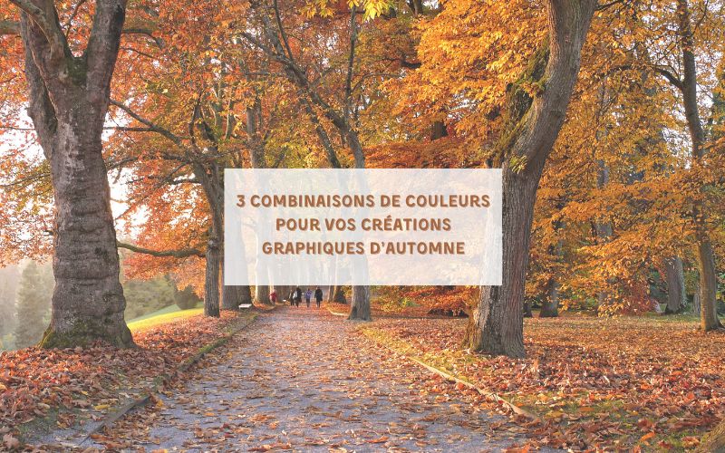 3 combinaisons de couleurs pour des création graphiques en Automne