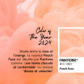 Couleur Pantone 2024 : laissez-vous tentez par Peach Fuzz