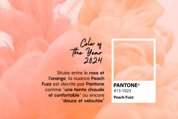 Couleur Pantone 2024 : laissez-vous tentez par Peach Fuzz