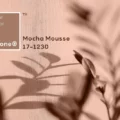 Pantone Color of the Year: Mocha Mousse, lauréat 2025