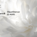 Cloud Dancer 11-4201 : la nouvelle couleur Pantone® pour l’année 2026